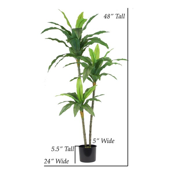 The Mod Greenhouse Artificial Dracaena Plant in Black Matte Planter's Pot