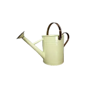 Iron Indoor Home Watering Can With Light Green Color Powder Coated Premium Quality Metal Watering Can Gardening Tool Supplies