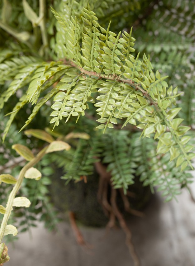 Sullivans Artificial Fern In Ball