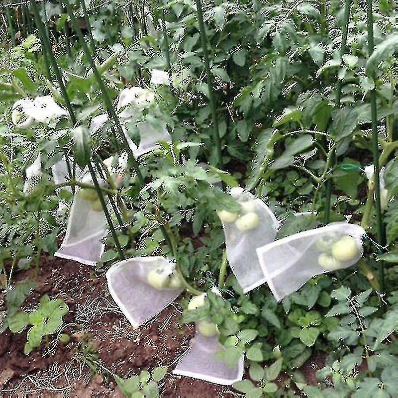 100pcs Garden Plants Fruit Net Mesh Protector Bags Against Insect Pest Bird