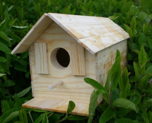 HAMMOND TOYS Wood Bird House Kit Complete With Nails