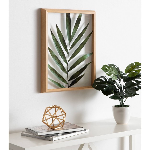 X 20 quot Blake Botanical 5f Framed Printed Glass By Amy Peterson Natural Kate And Laurel