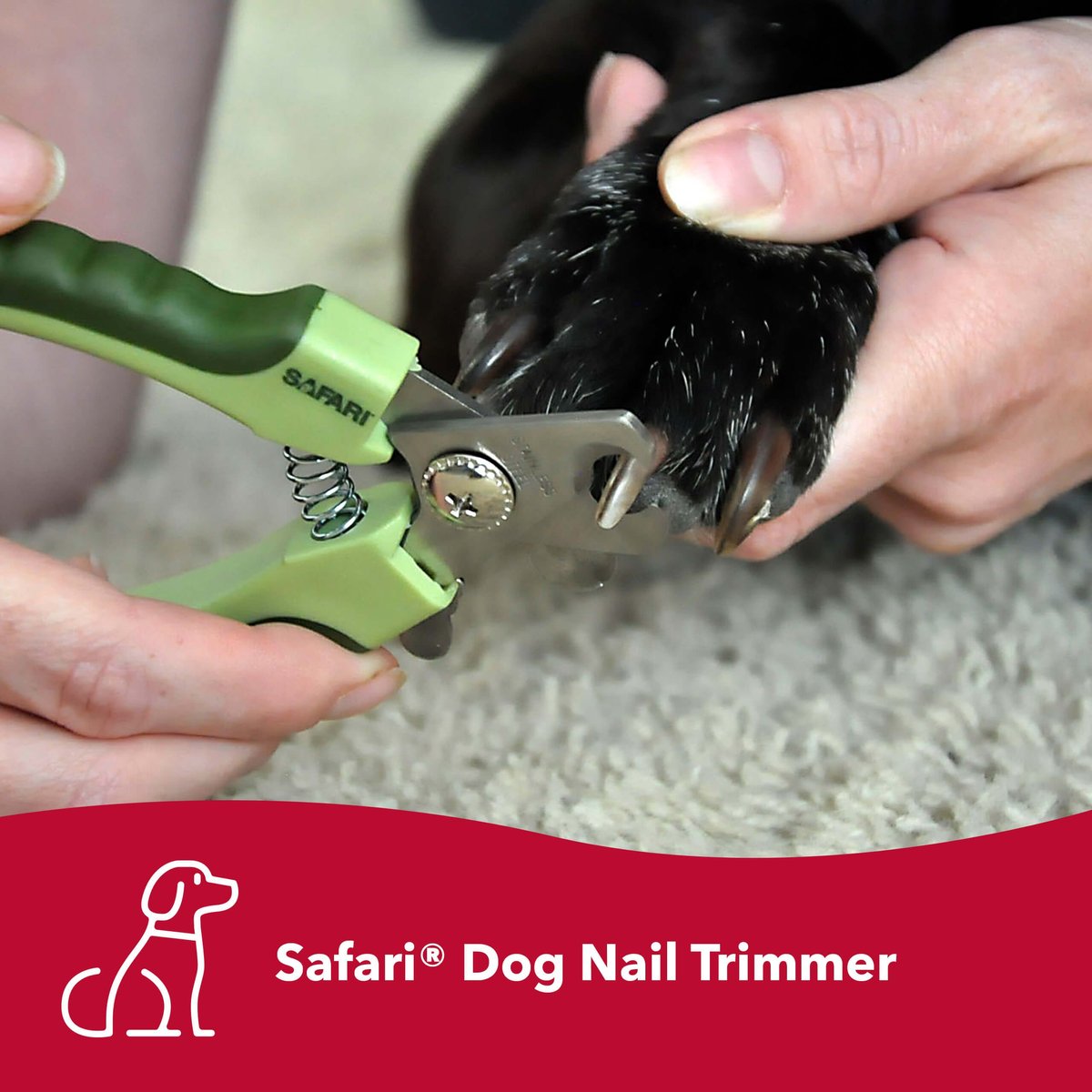 Safari Professional Nail Trimmer for Dogs