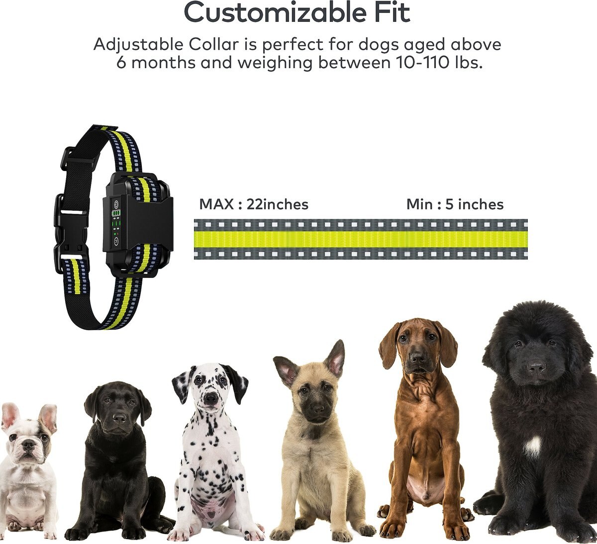 Petdiary B600 Waterproof Dog Bark Collar