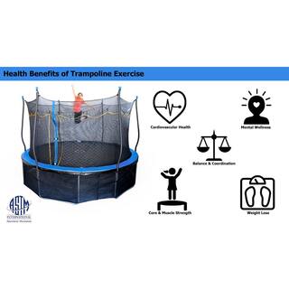 Kinertial 15 ft. Trampoline with Dual Enclosure Net Heavy-Duty Jumping Mat and Foam Padded Springs ASTM Approved 850008244551