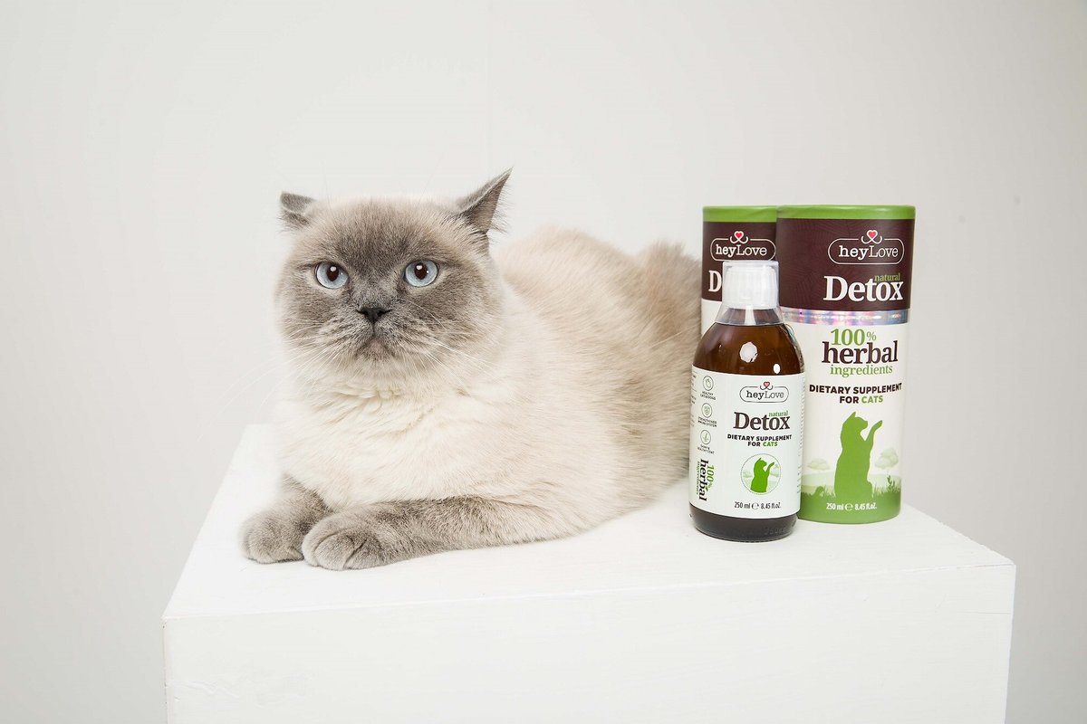 heyLove Natural Detox Dietary Cat Supplement， 8.45-oz bottle