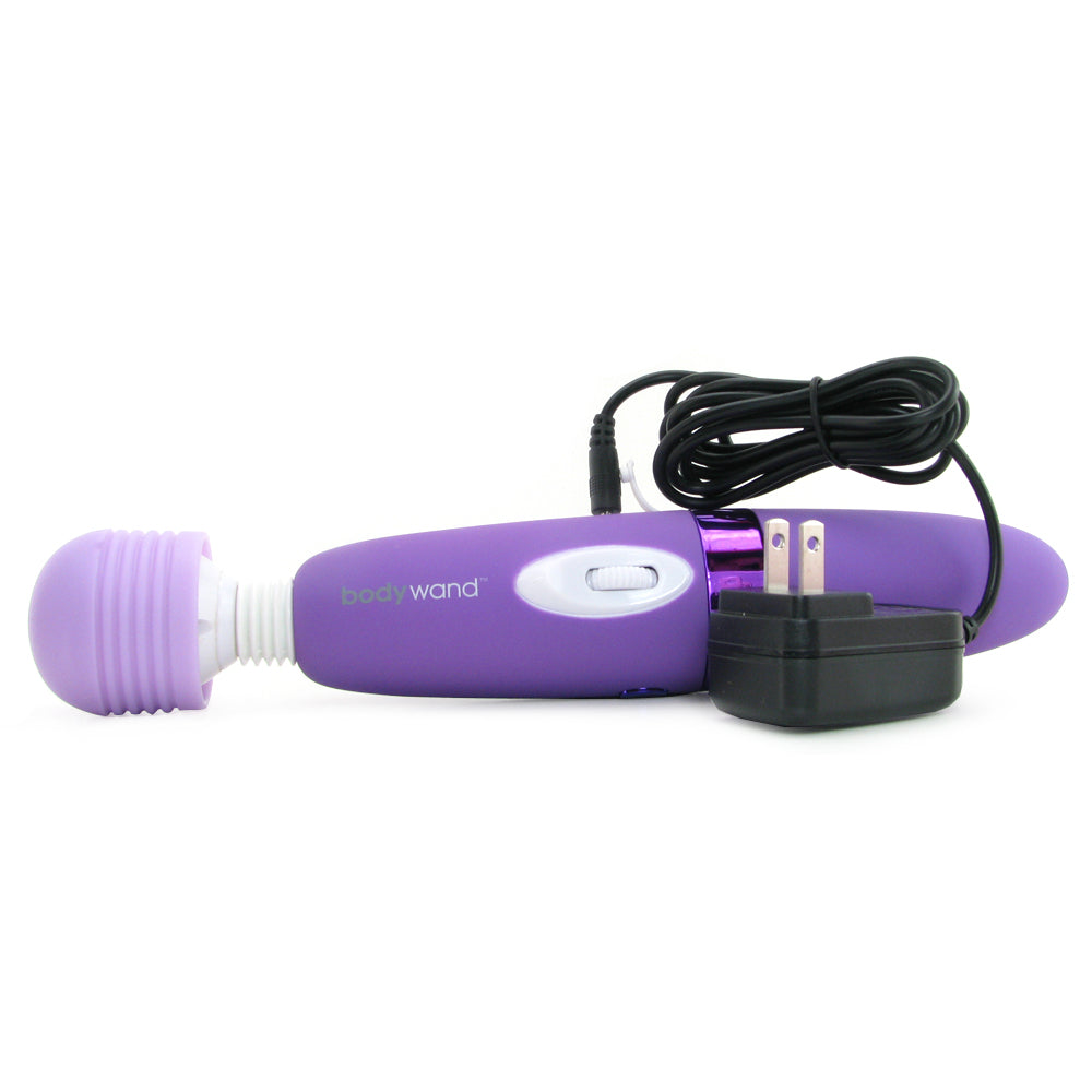 Rechargeable Massager in Lavender