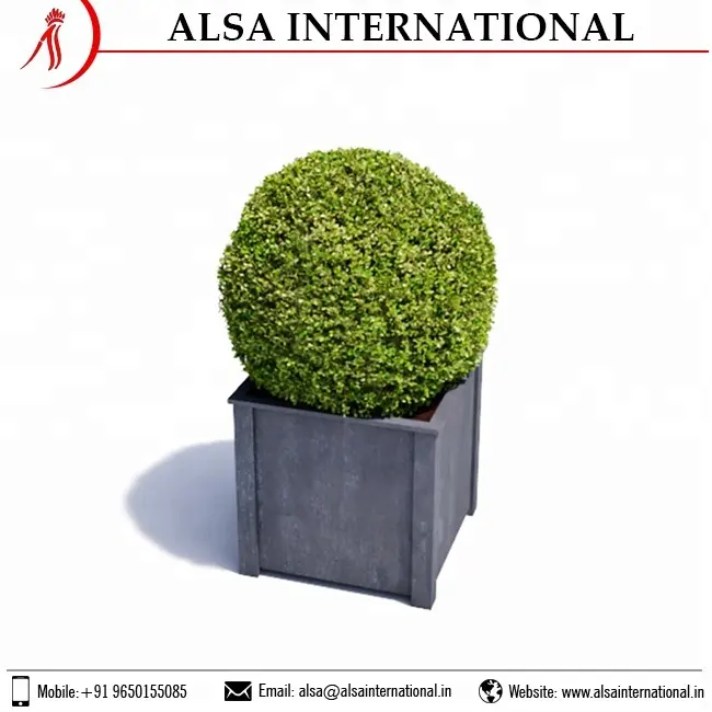 Bulk Supply Of Beautiful Hanging Planter Pots at Lowest Price