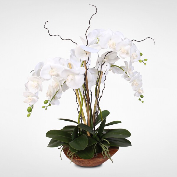 Real Touch Phalaenopsis Silk Orchid Arrangement with Curly Willow in Natural Teak Wood Bowl