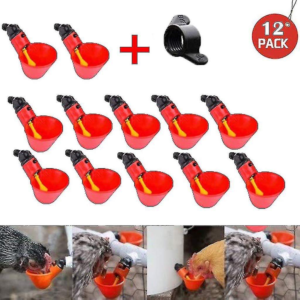 12pcs Poultry Drinkers Chicken Water S Feed Automatic Poultry Drinkers Water