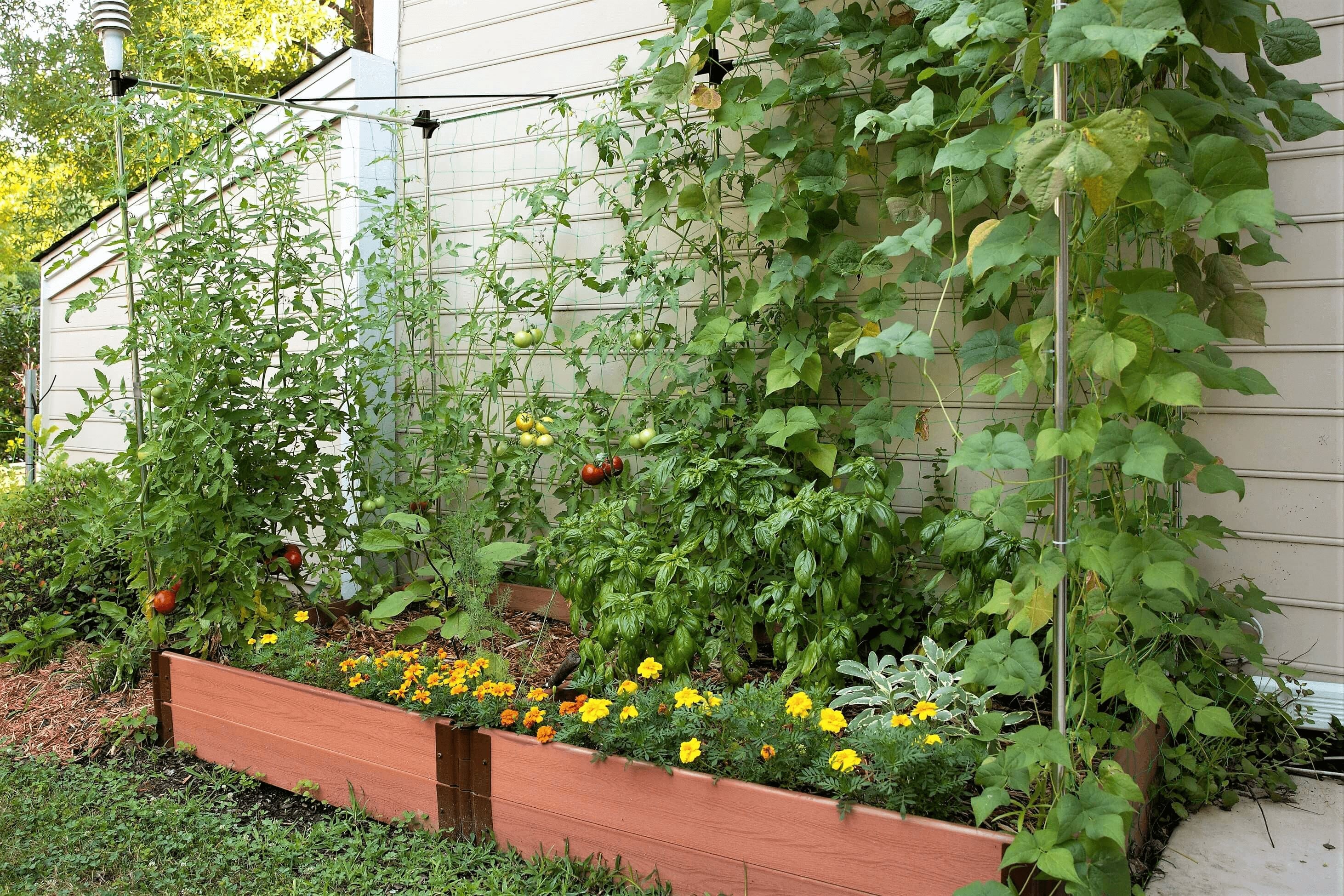 4' x 8' Raised Garden Bed with Trellis