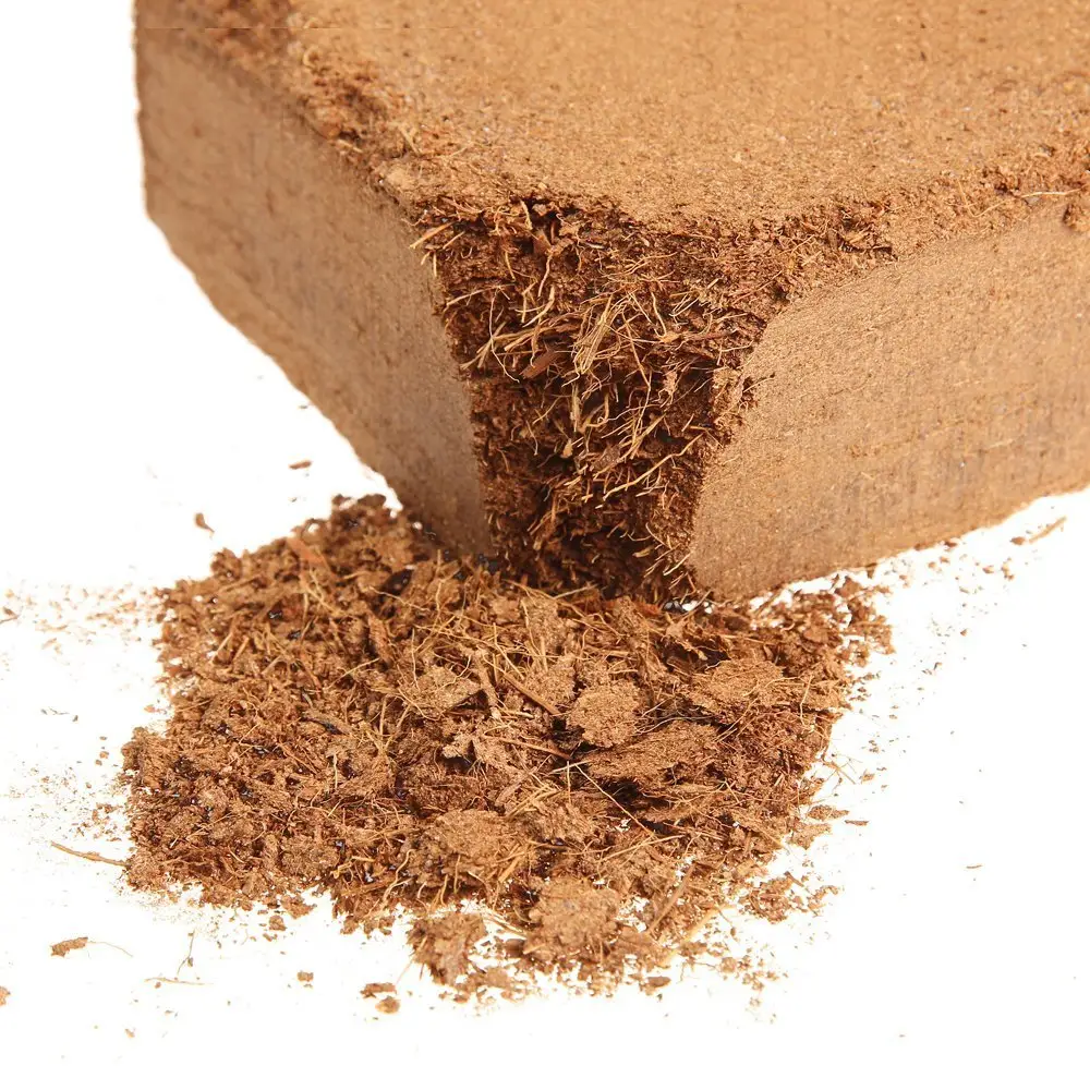 Hot Selling Cocopeat 5KG Blocks Balcony GardeningTips Make the Most of It Garden Supplies Ideas Greening Your Living Space