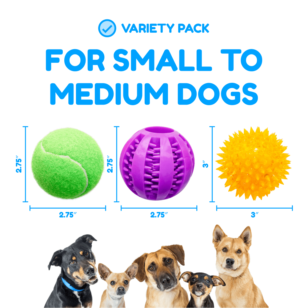 Pacific Pups Products 6 Pack of Dog Balls - Treat Balls， Squeaky Tennis and Spikey Balls