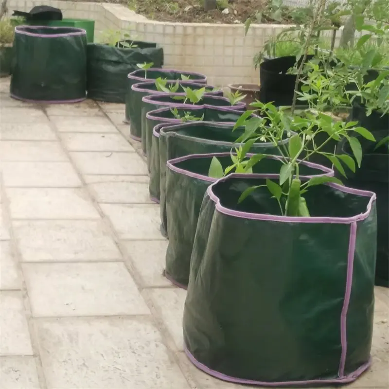 Thickened Potted Eco friendly Plant Planting Bag Nursery Planting Bag Foldable PE Cloth Tomato Growing Container Bag