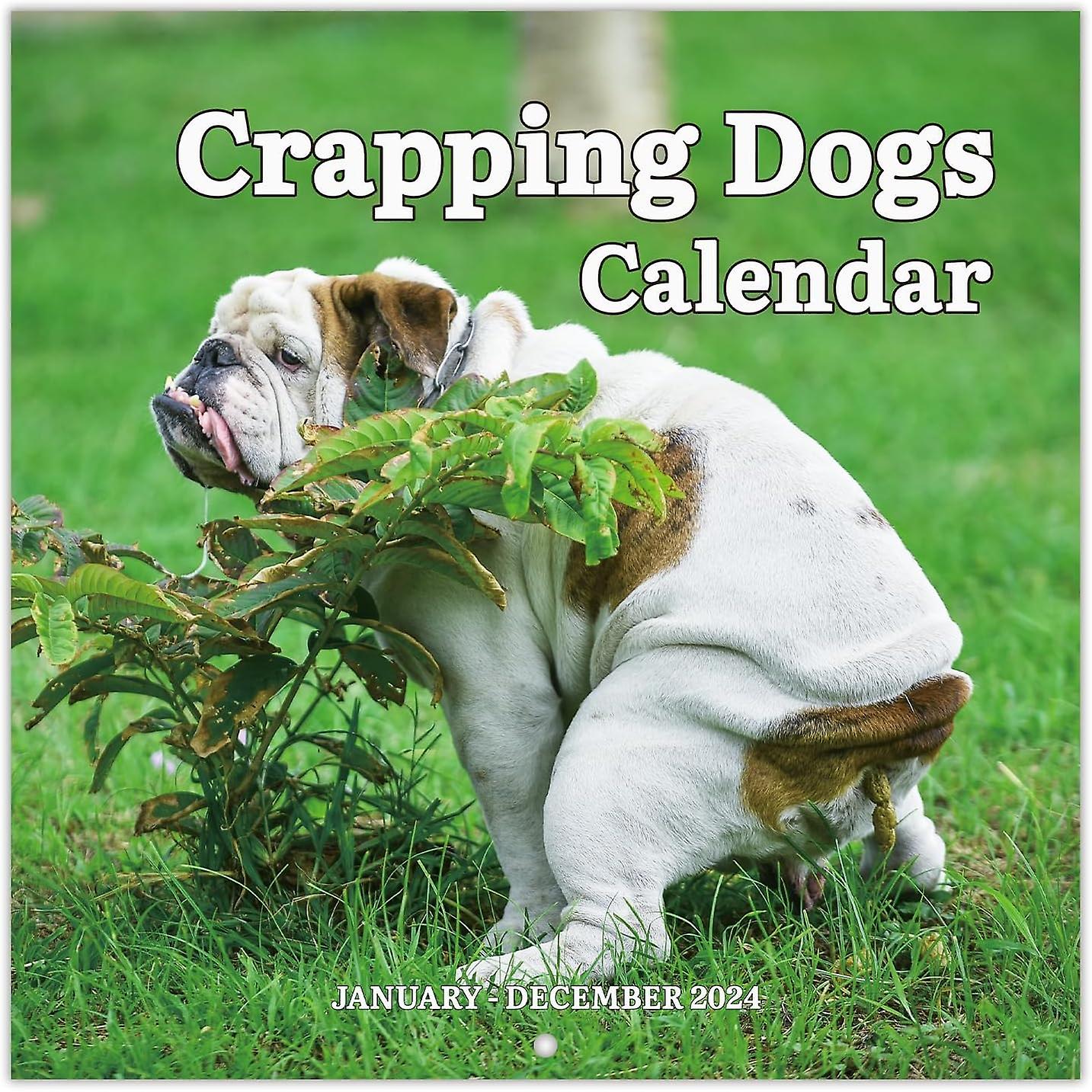 Dogs Pooping In Beautiful Places Calendar 2024，12 Monthly Pooping Dogs Calendar，2024 Wall Calendar，white Elephant Gifts