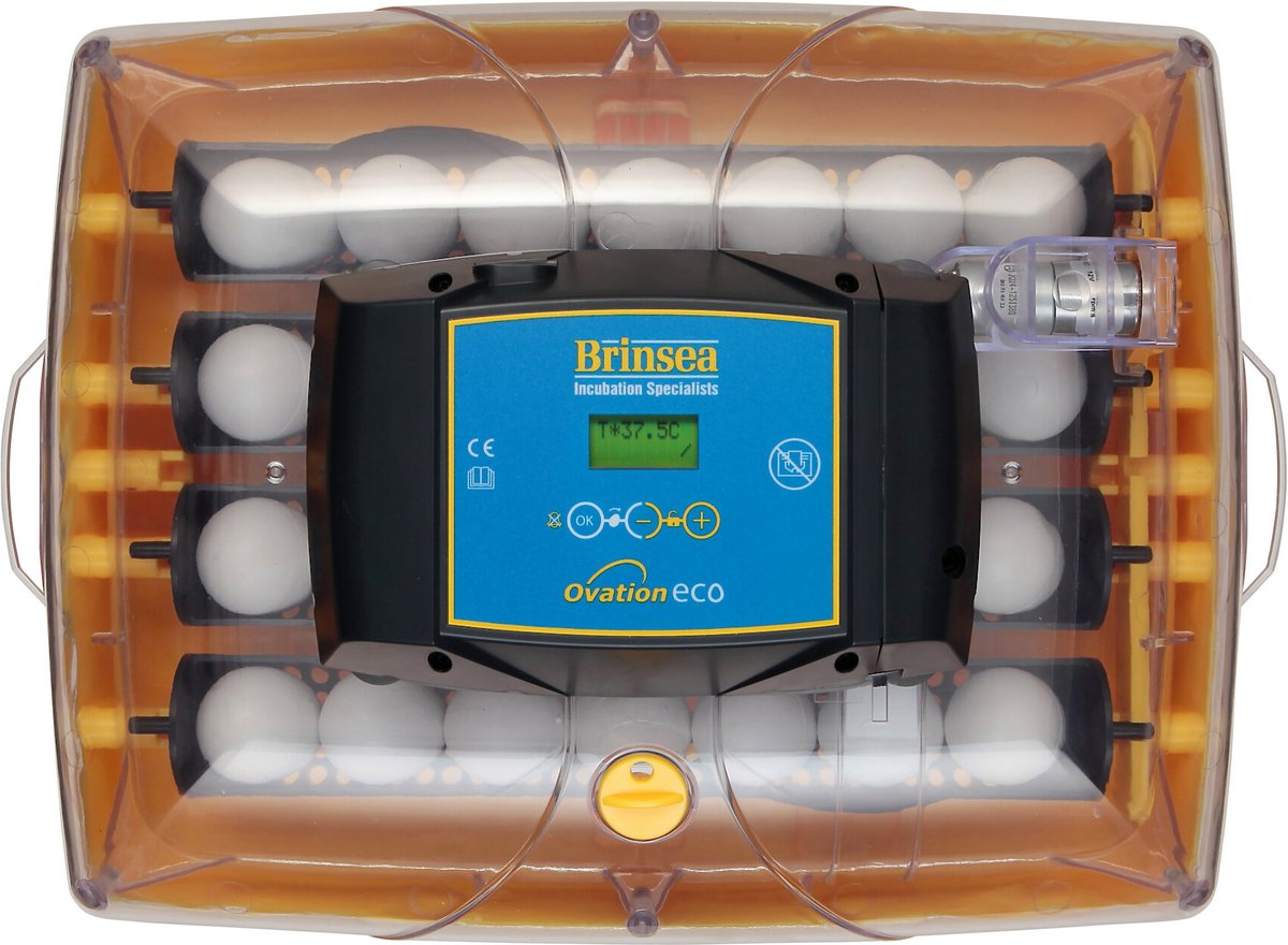 Brinsea Ovation 28 Eco Automatic Bird Egg Incubator