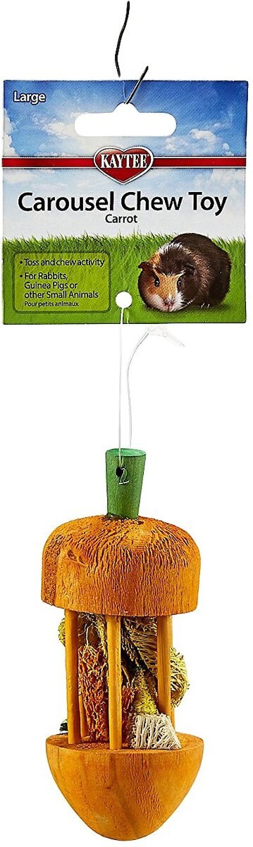 Kaytee Carousel Carrot Small Animal Chew Toy