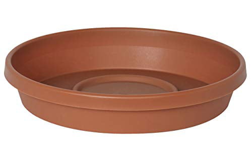 Bloem Terra Plant Saucer Tray 5.5 x 1 Plastic Round Terracotta