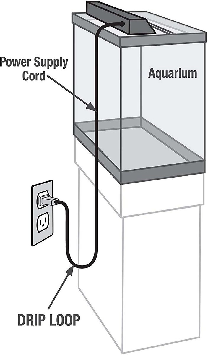 Aqueon Standard Glass Rectangle Aquarium， 10-gal