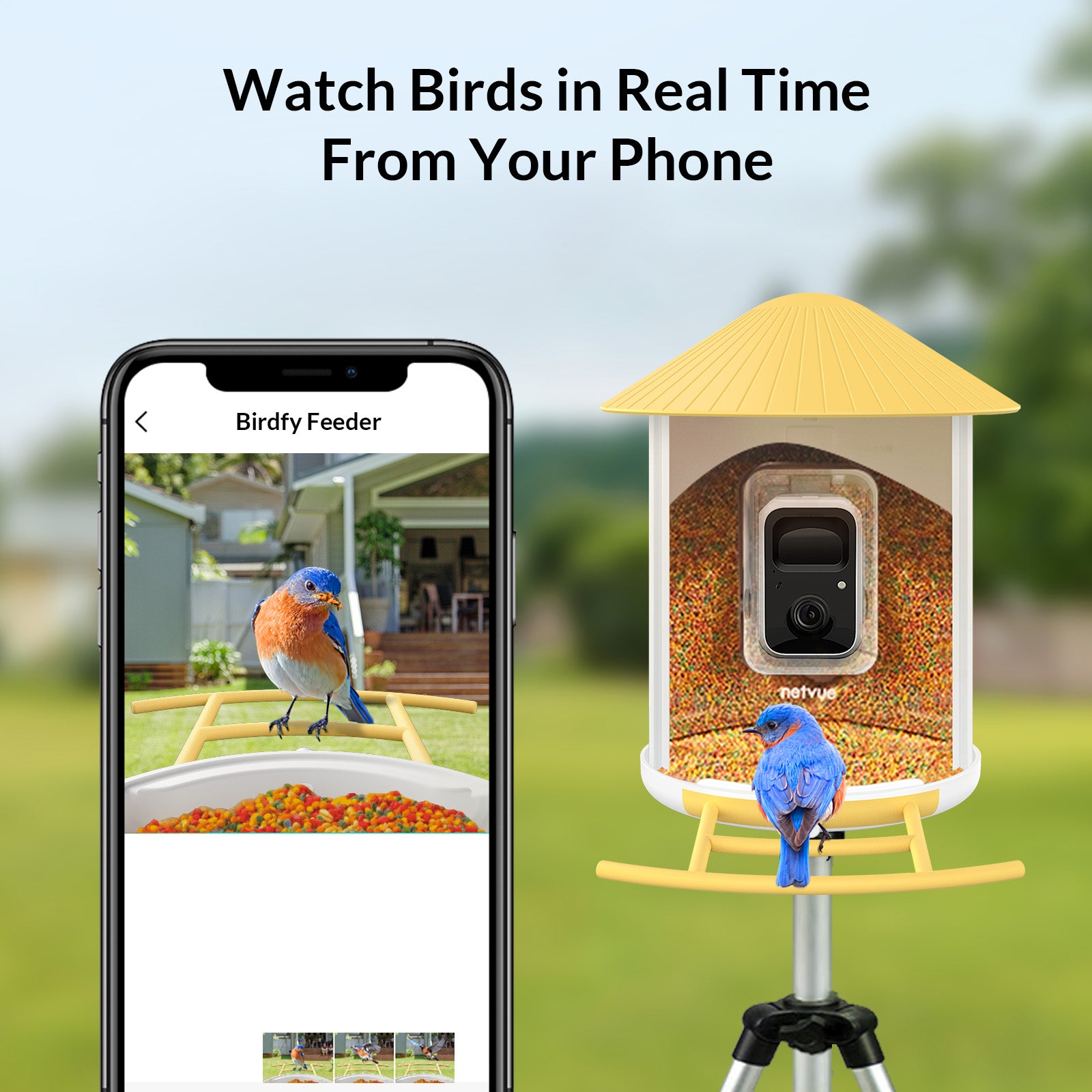 Bird Feeder Camera Outdoor Netvue Birdfy Smart Bird Feeder for Bird Watching， Capture Images/Videos with APP Notification， Bird Gifts for Parents， Hopper Feeder， Yellow(Birdfy Lite + Solar Panel)