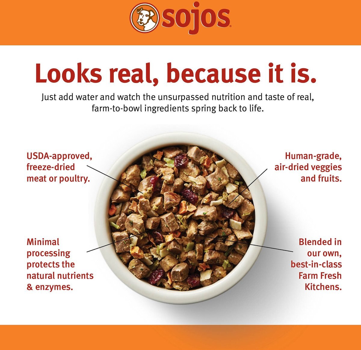 Sojos Complete Beef Recipe Adult Grain-Free Freeze-Dried Dehydrated Dog Food