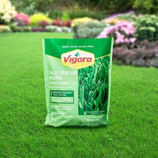 Vigoro 7 lbs. Tall Fescue Grass Seed Blend with Water Saver Seed Coating 25685