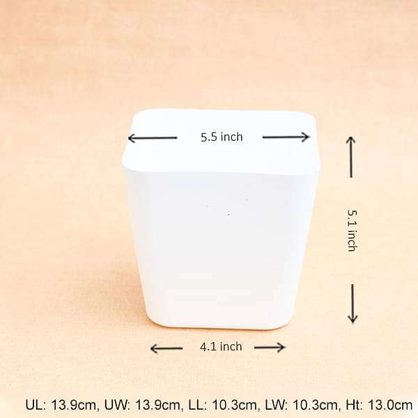 5.5 inch (14 cm) Square Plastic Planter with Rounded Edges (White) (set of 6)