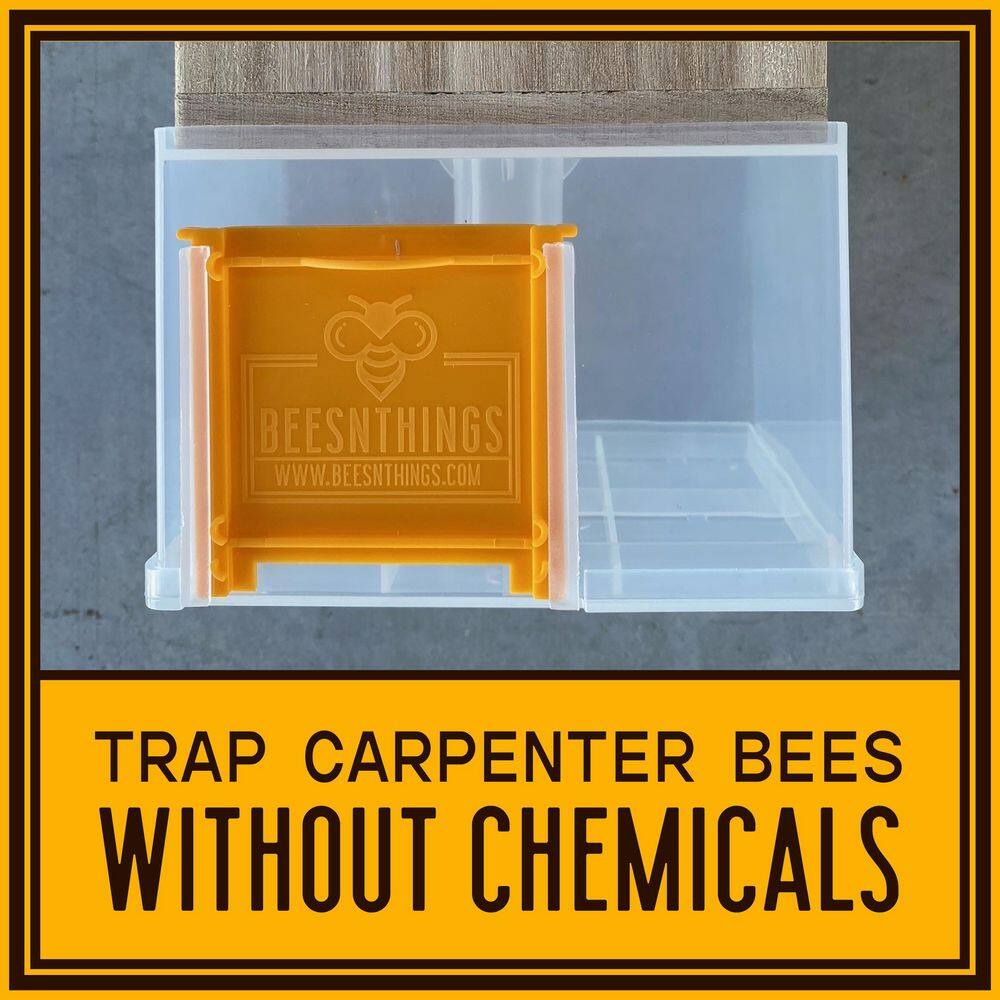 Bees N Things Hanging Carpenter Bee Trap 100537614