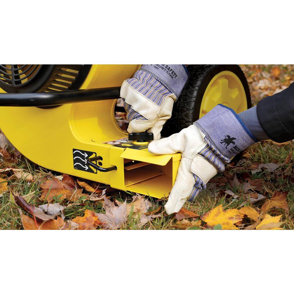 Champion Power Equipment 160 MPH 1300 CFM 224 cc Walk-Behind Gas Leaf Blower with Swivel Front Wheel and 90-Degree Flow Diverter 200947