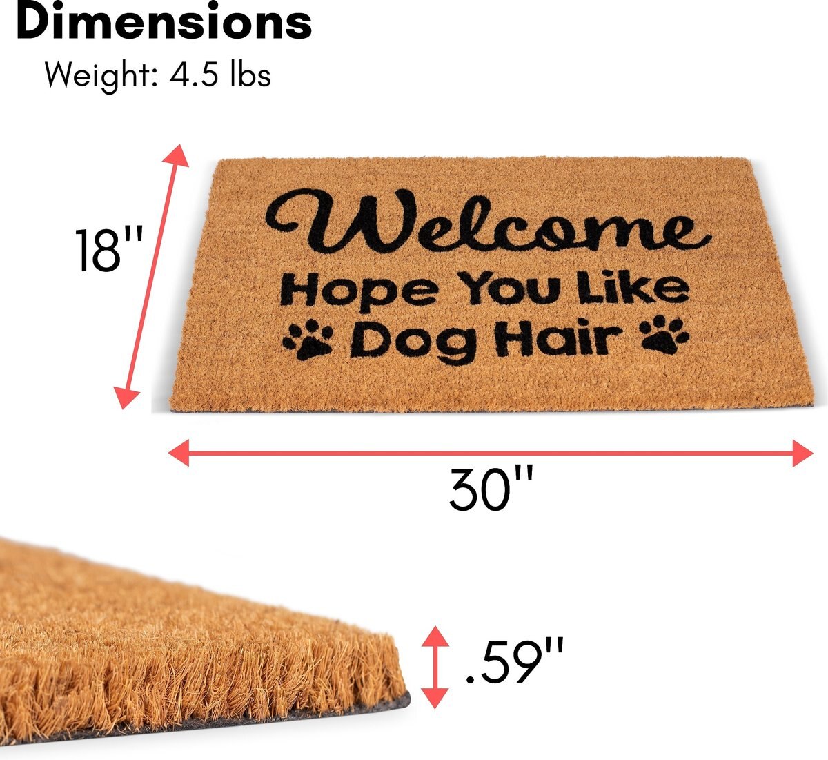 BirdRock Home Dog Hair' Coir Doormat