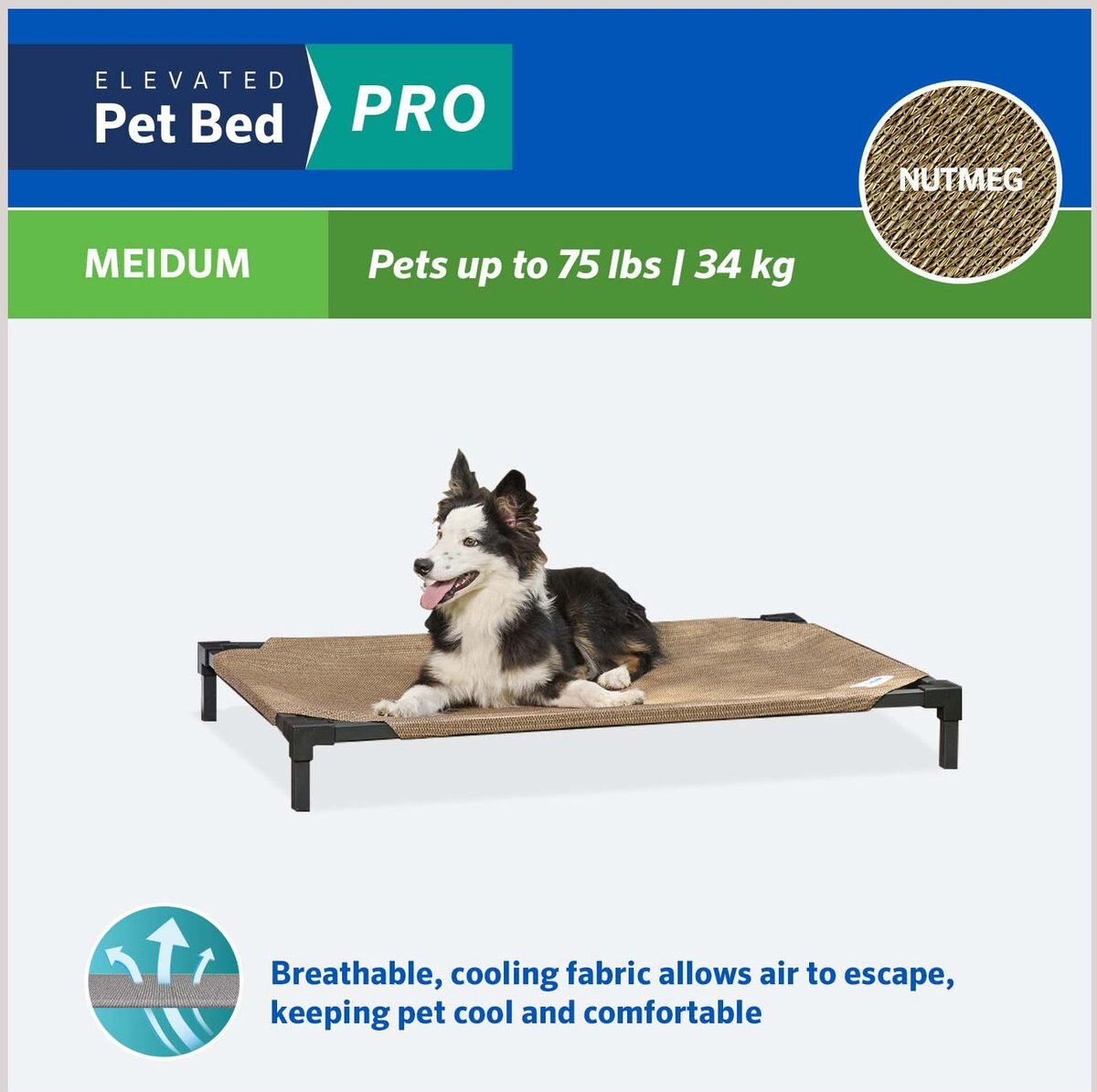 Coolaroo Pro Elevated Dog and Cat Bed