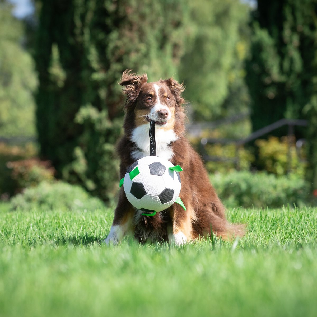 Hyper Pet Grab Tabs Soccer Ball Dog Toy