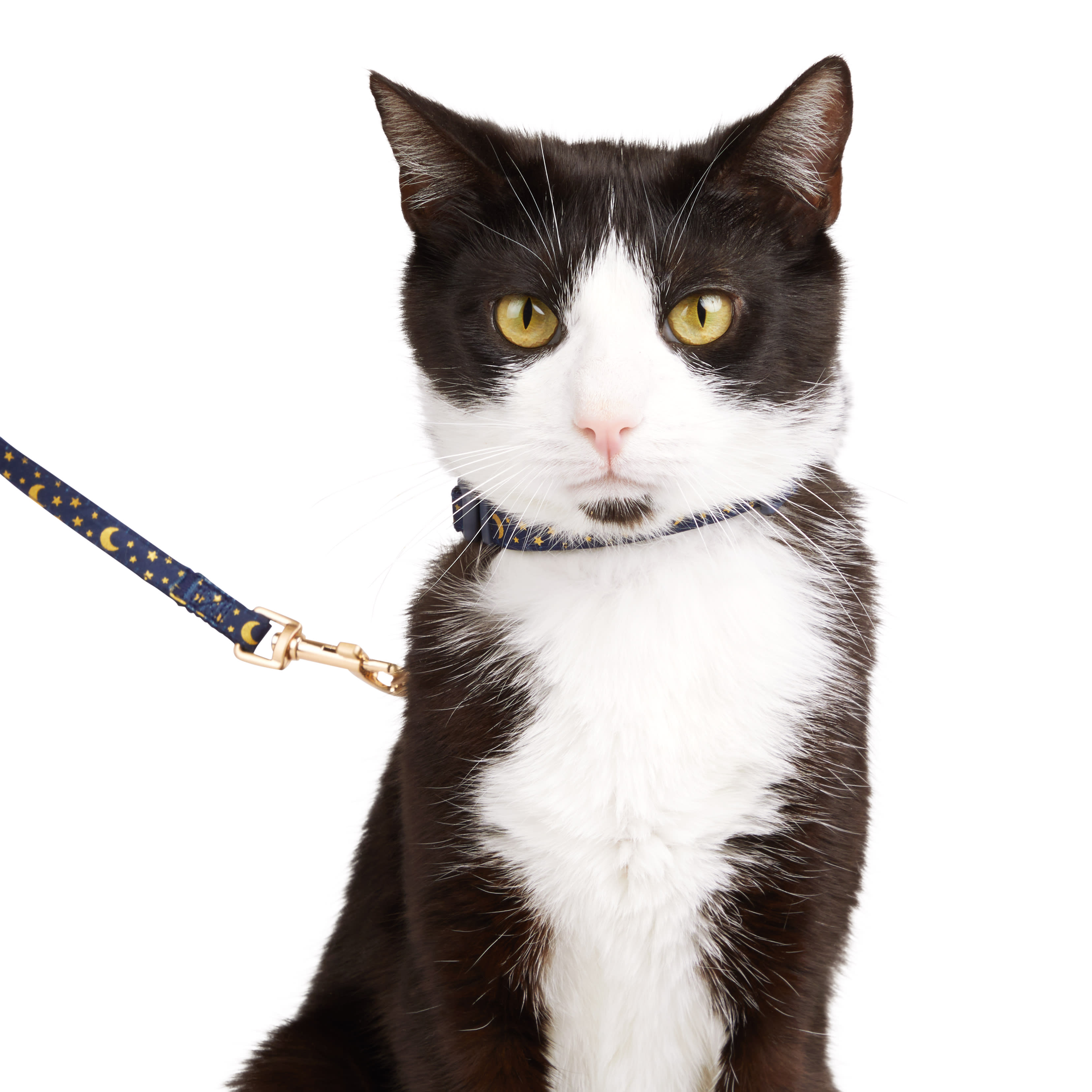 YOULY Moon  Star Cat Harness  Leash Kit