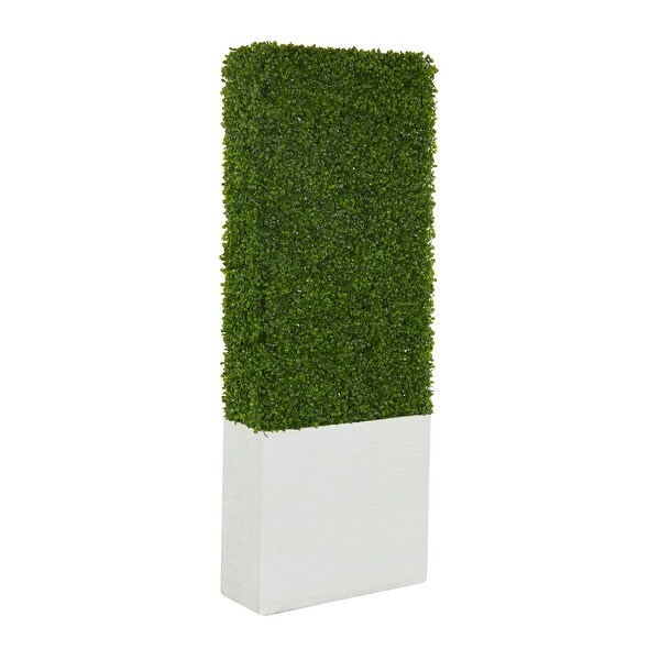 Exclusive and Utmost Beautiful Boxwood Hedge