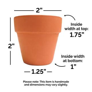 Pennington 2 in. Mini Terra Cotta Pot 100506840