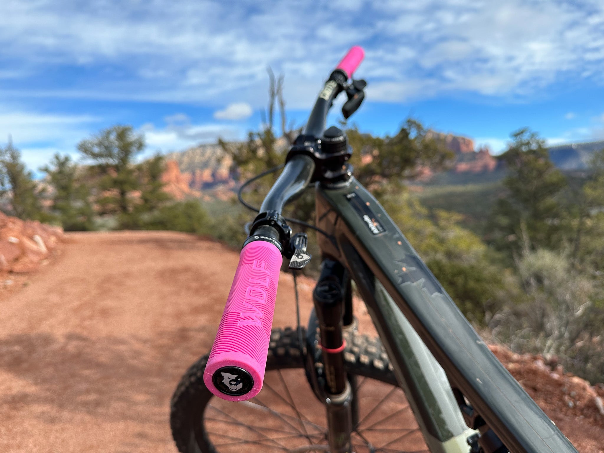 Echo Lock-On Grips – Colors by Wolf Tooth