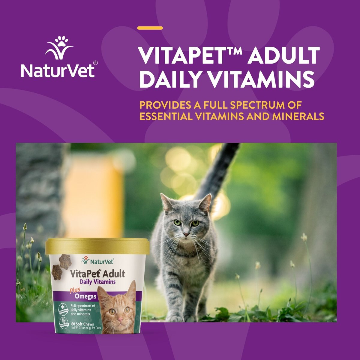 NaturVet VitaPet Adult Plus Omegas Soft Chews Multivitamin for Cats