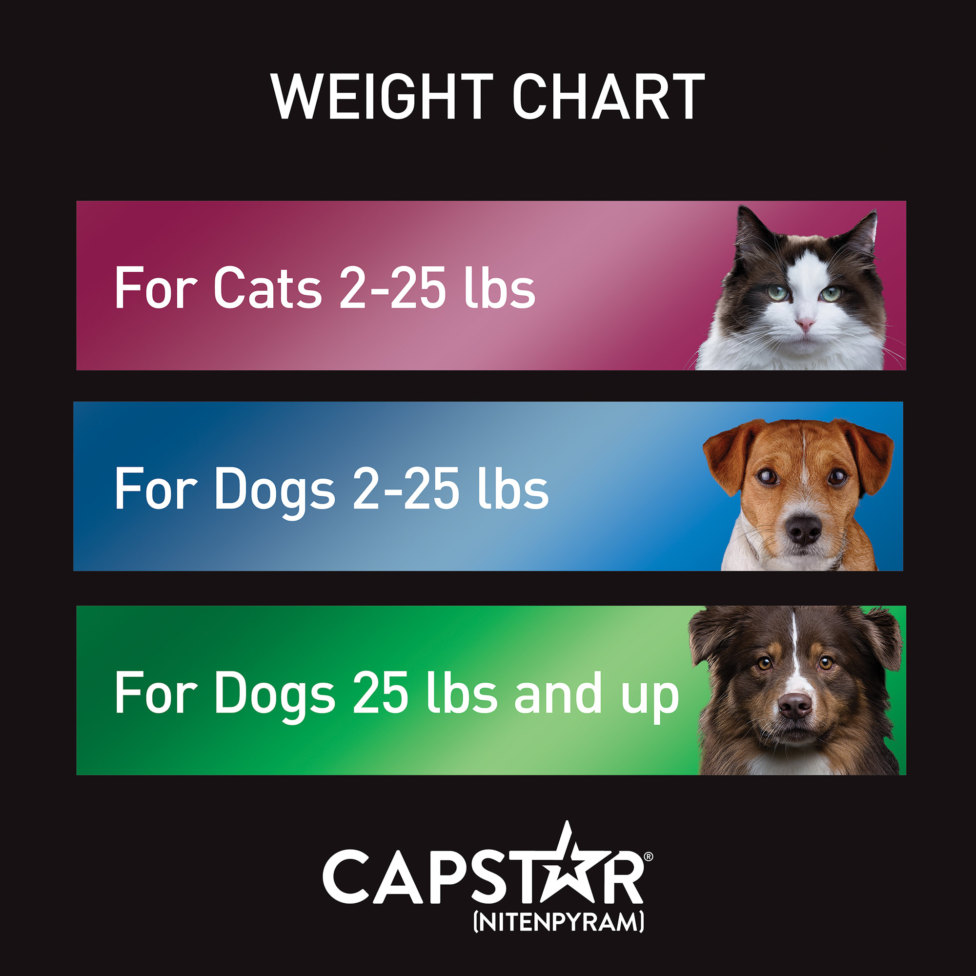 Capstar Flea Tablets for Dogs over 25 lbs.， Count of 6