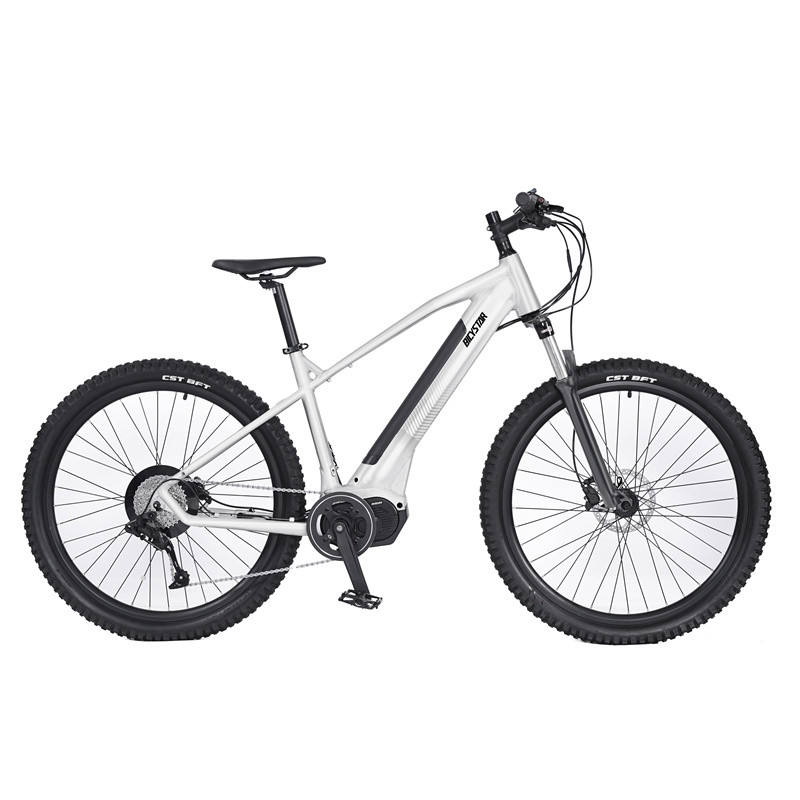 26 inch alloy electric bike for mountain 250W Motor bike electric bicycle lithium battery 36V e bike e bicycle electric cycle