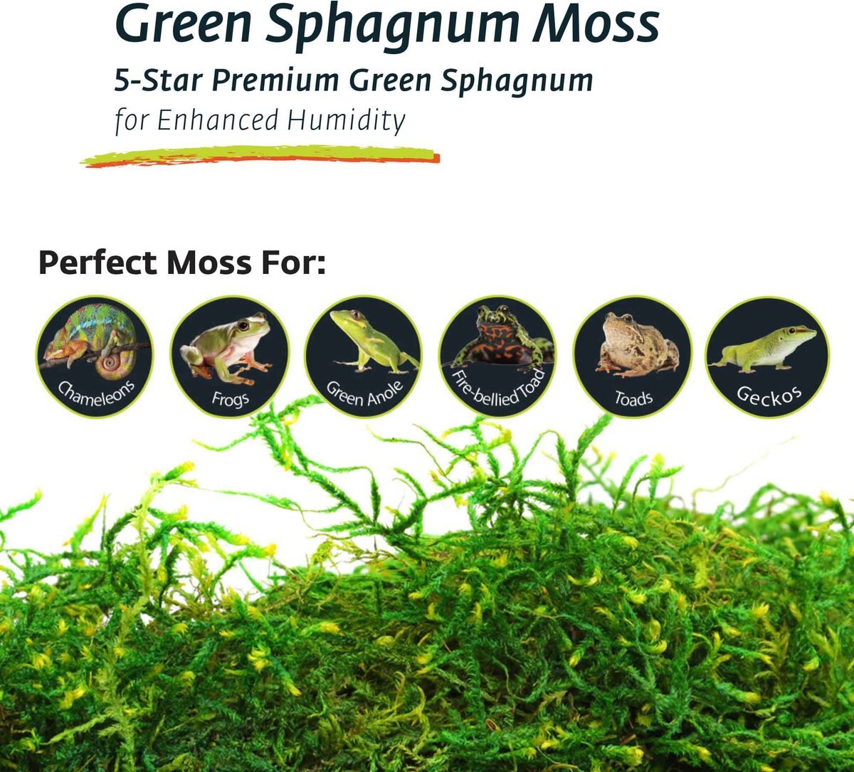 Galapagos Sphagnum Reptile， Amphibian and Insect Terrarium Moss