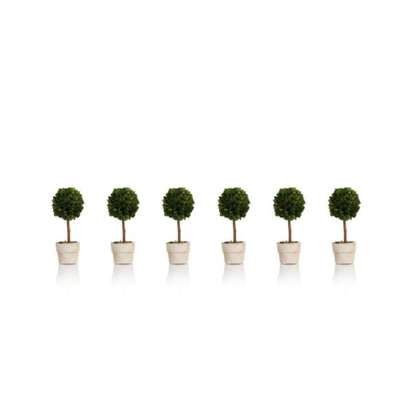 6 Tall Preserved Boxwood Topiary，Ball Shaped (Set of 6)