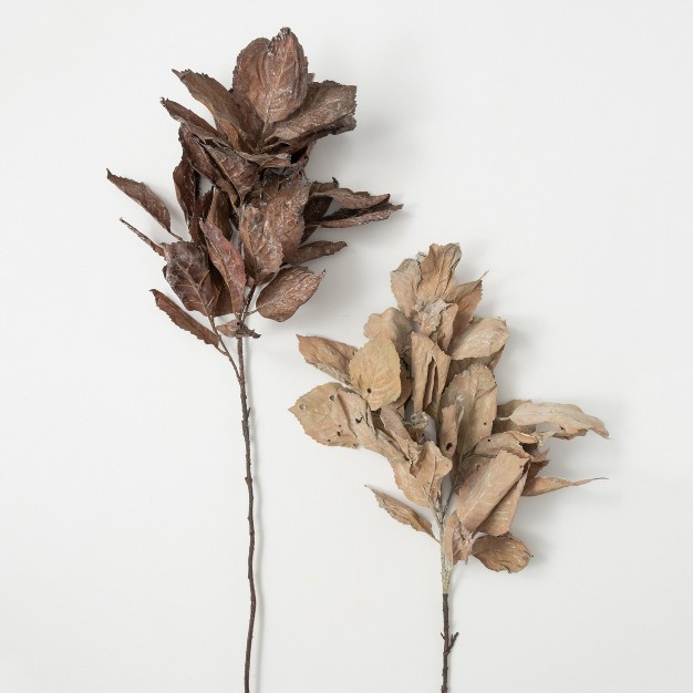 Sullivans Artificial Dried Hydrangea Leaf Set Of 2， 43