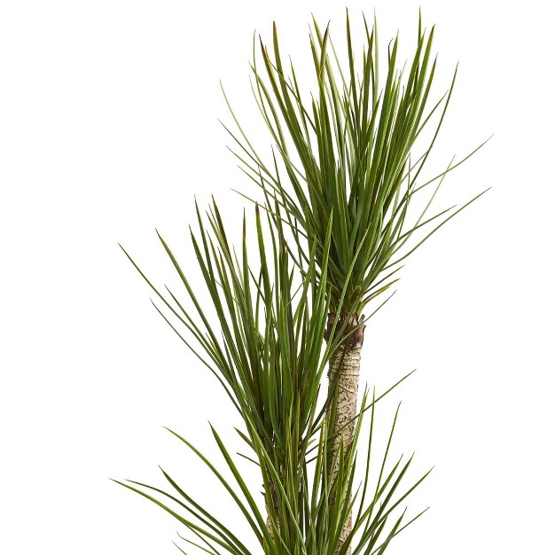 5.2' Artificial Yucca Tree In Planter Green/black - Nearly Natural