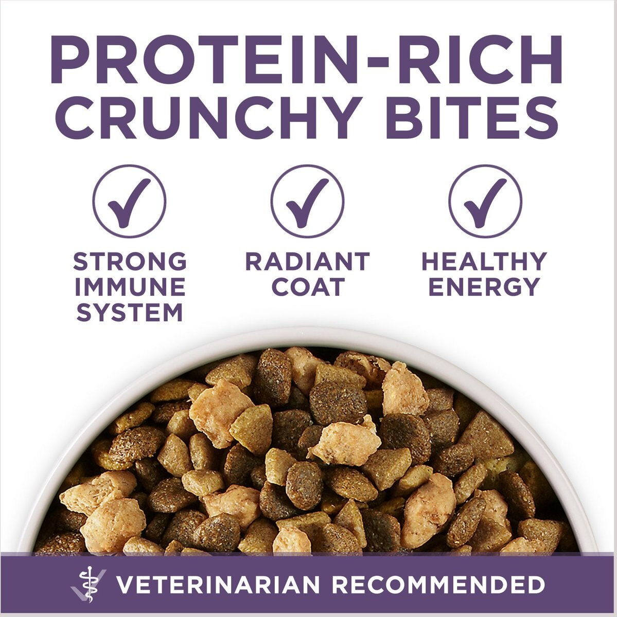 Purina ONE +Plus Senior Vibrant Maturity Adult 7+ Formula Dry Dog Food