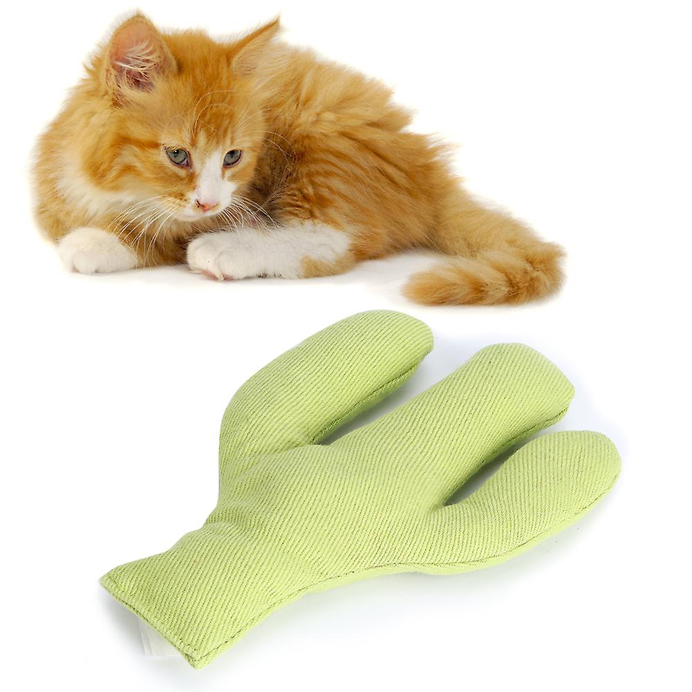 Canvas Pet Cat Simulation Cute Shape Catnip Teeth Cleaning Grinding Funny Training Interactive Toycactus