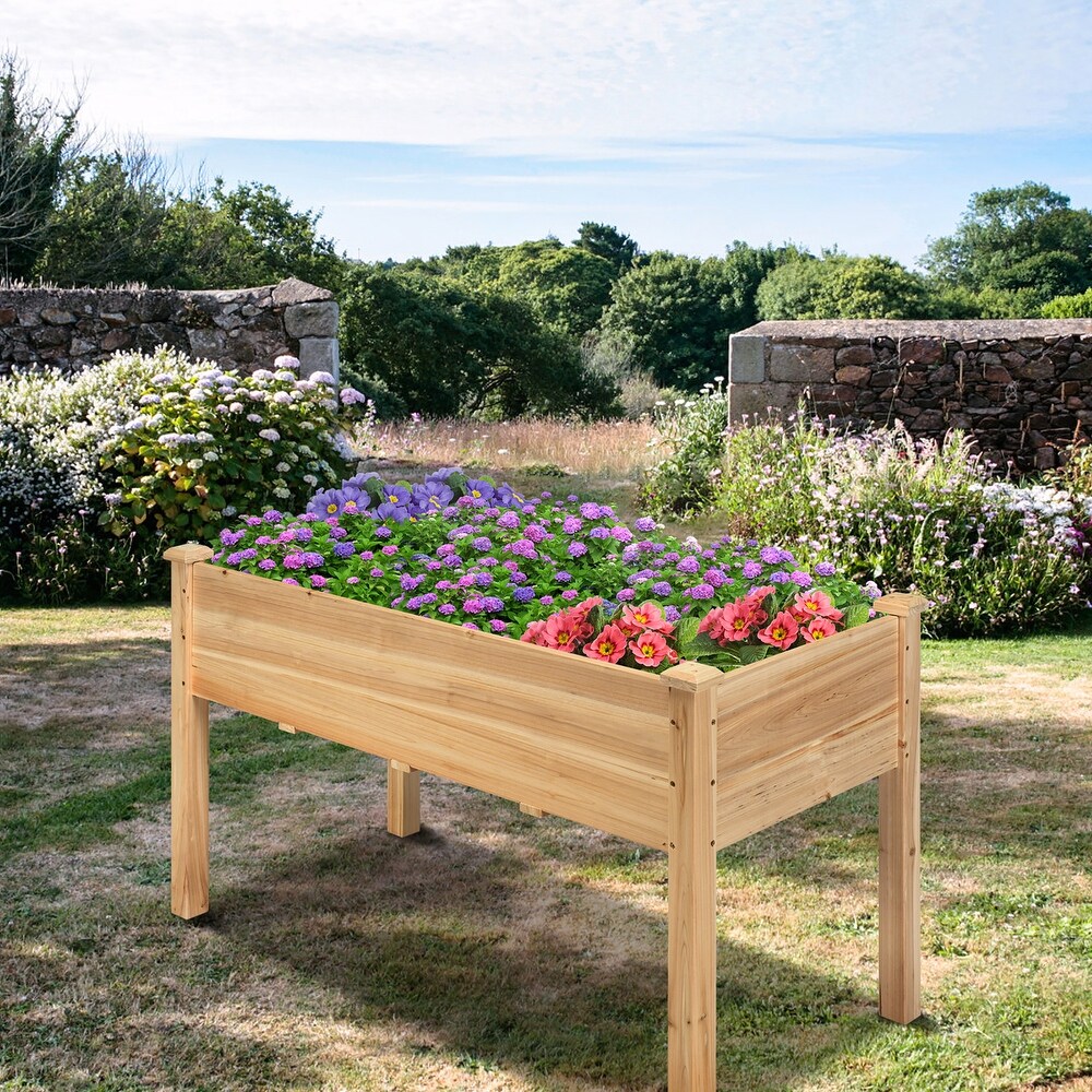 Outdoor Wooden Raised Garden Bed Planter Box Elevated Planter