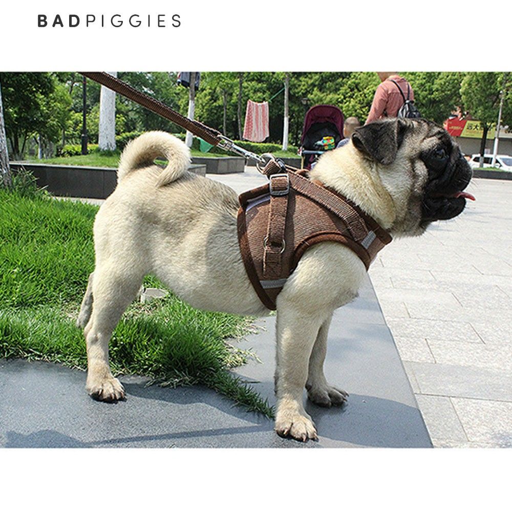 BadPiggies Universal Puppy Cat Dog Harness with Leash Set Escape Proof Adjustable Reflective Mesh Corduroy Harnesses (XL， Coffee)