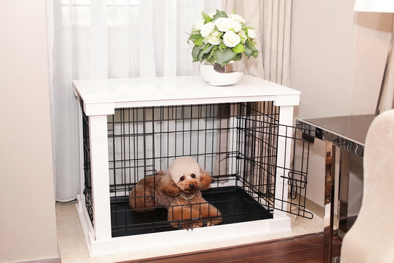 Zoovilla PTH0231720100 Cage with Crate Cover  Whit...