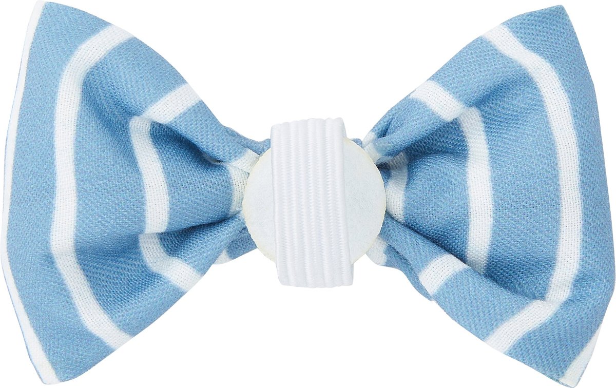 Frisco Fashion Bow， Striped