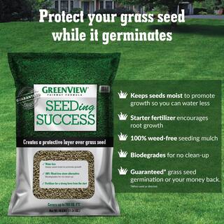 GreenView 20 lbs. Fairway Formula Grass Seed Perennial Ryegrass Blend (50-Bags250000 sq. ft.Pallet) 2829309